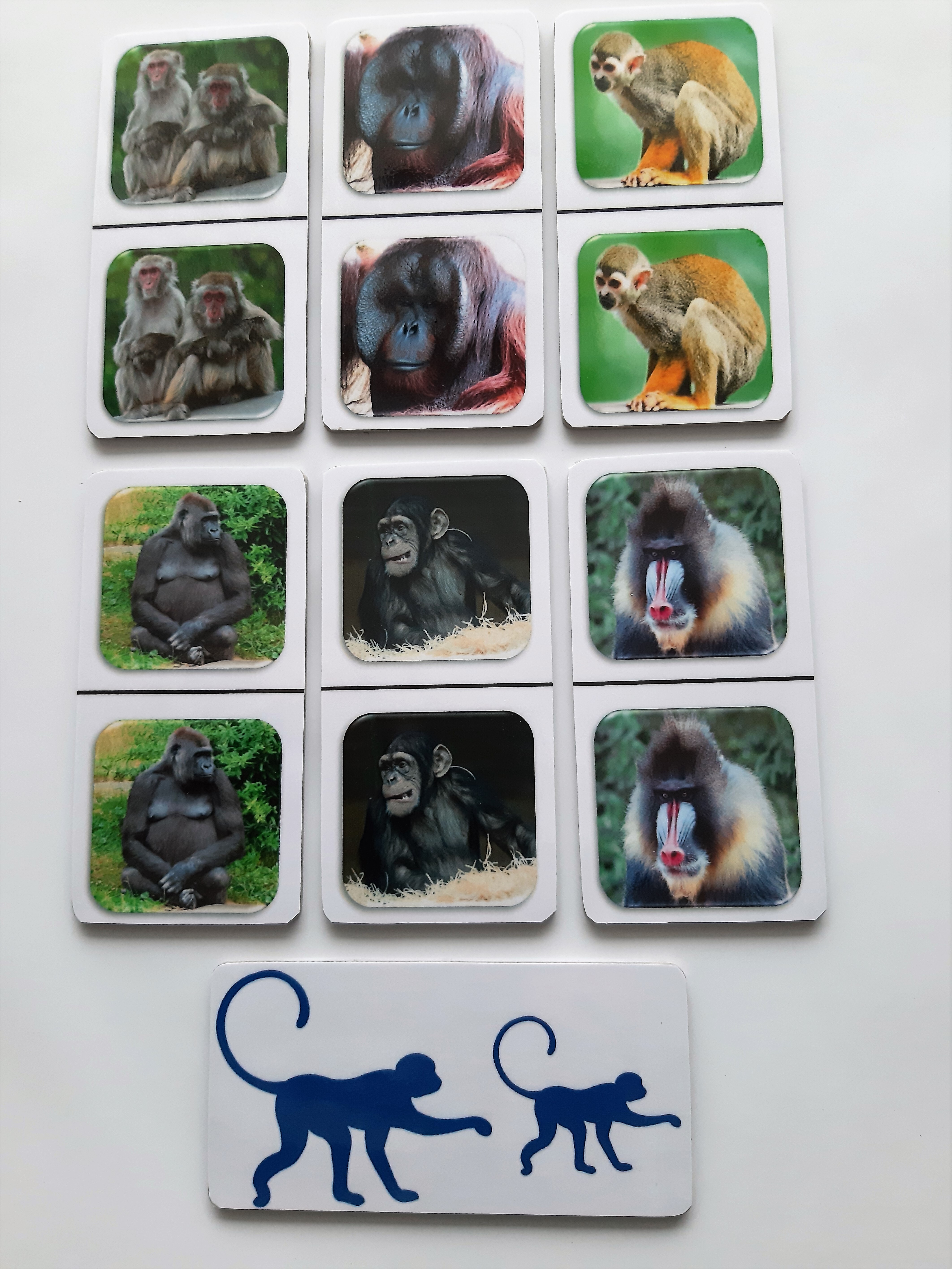 FotoDomino_Apen_2e.jpg FotoDomino_Apen_2e.jpg