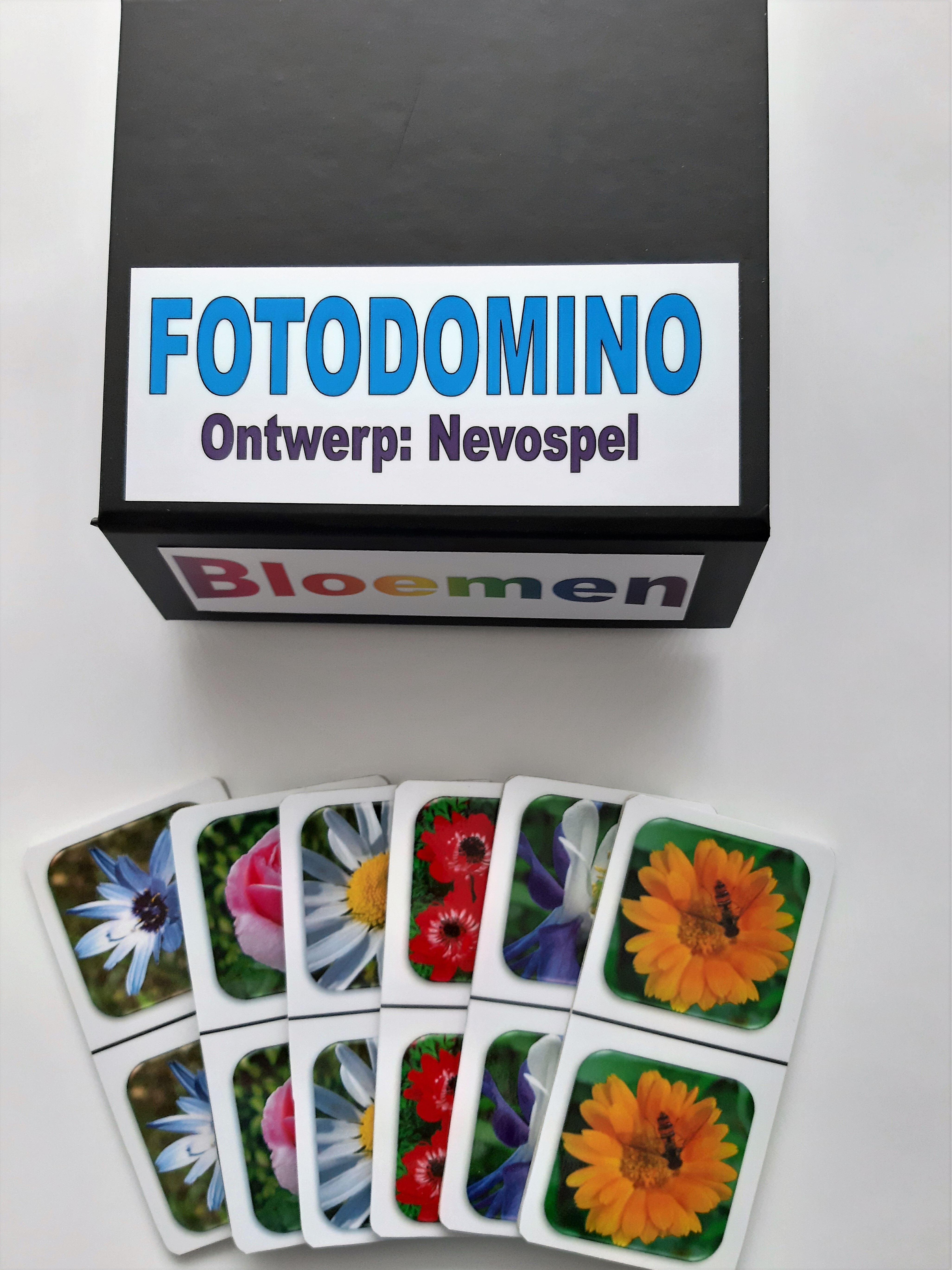 FotoDomino_Bloemen_1e_2.jpg FotoDomino_Bloemen_1e_2.jpg