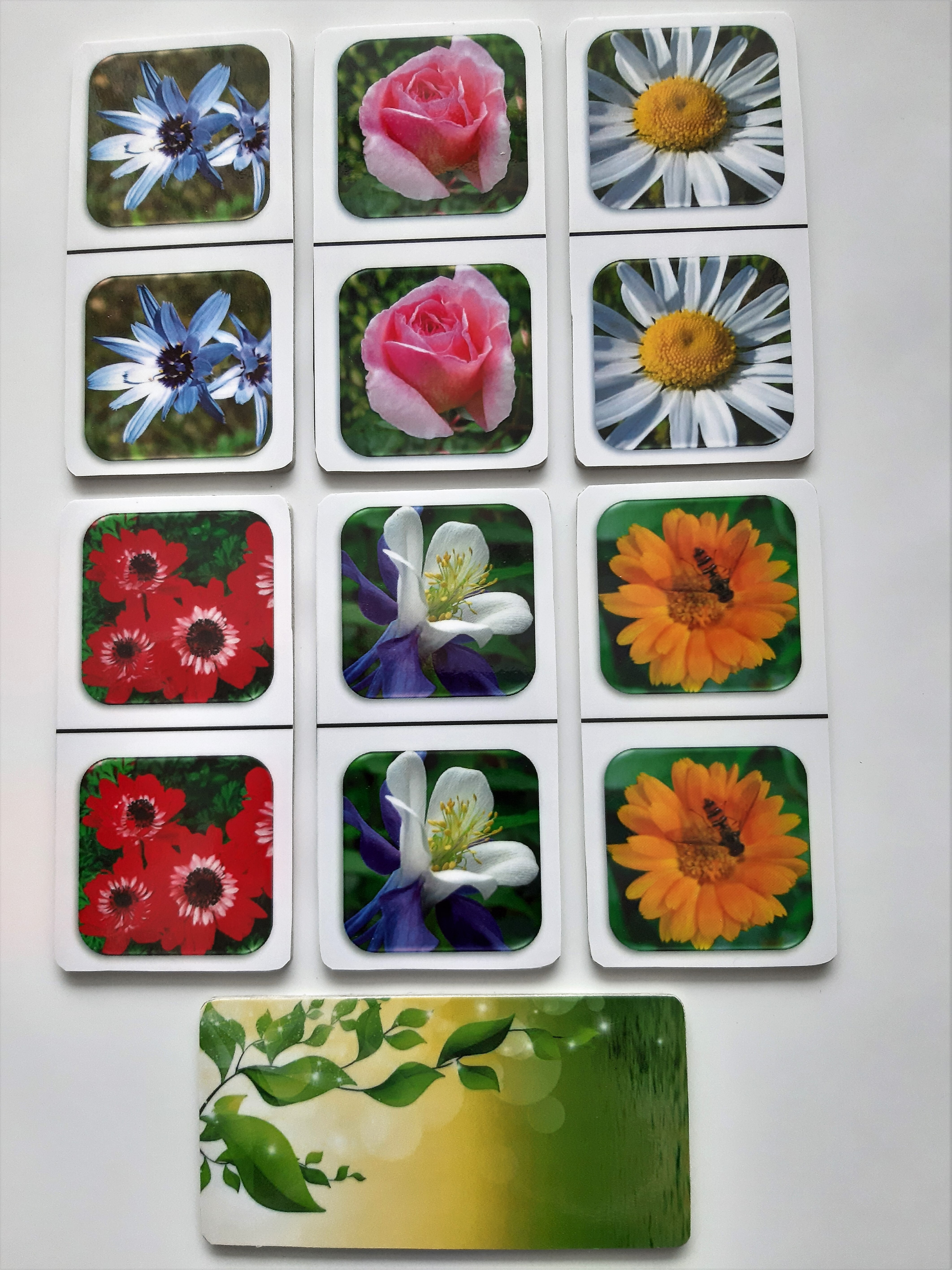 FotoDomino_Bloemen_2e_3.jpg FotoDomino_Bloemen_2e_3.jpg