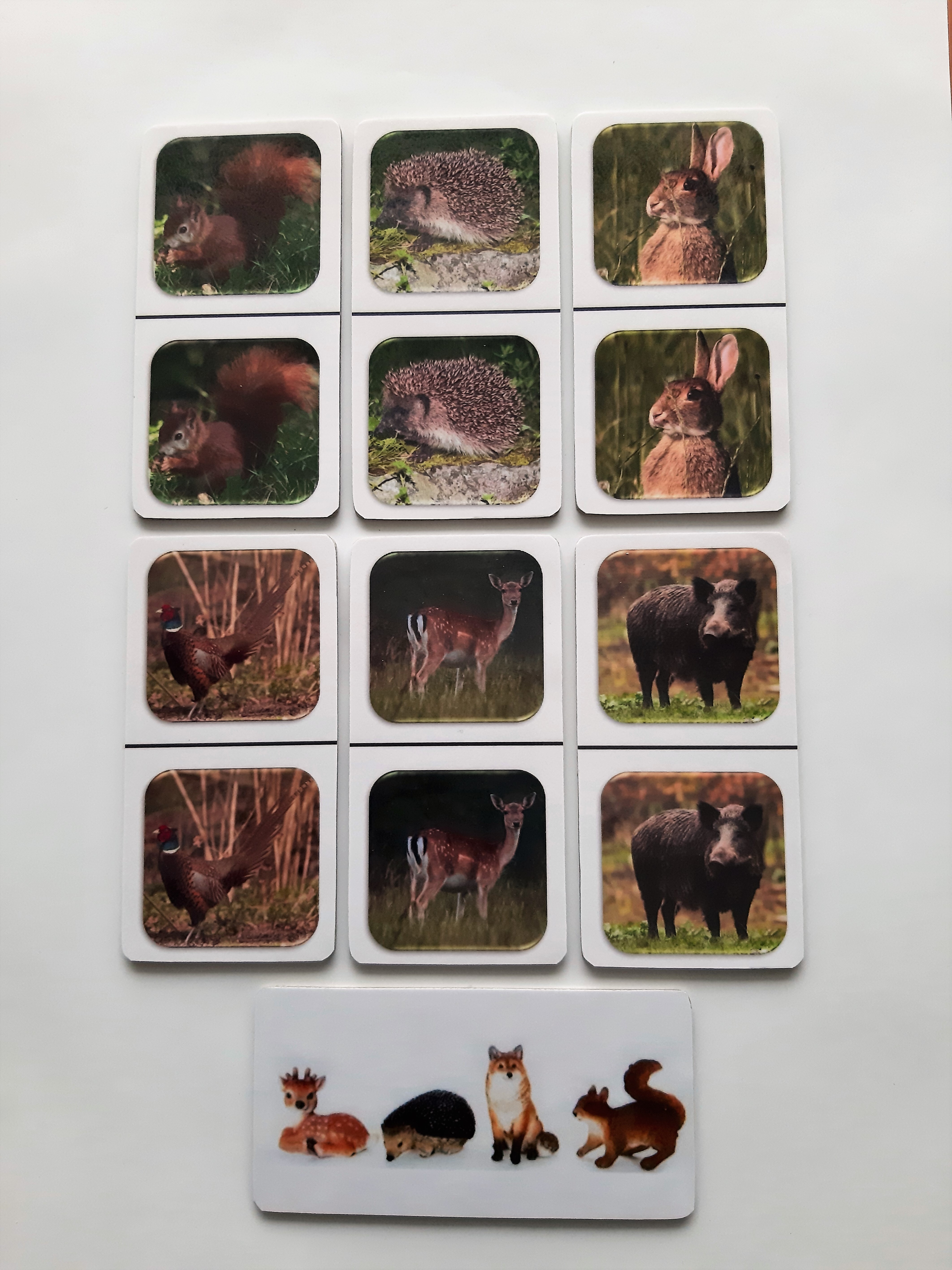 FotoDomino_Bosdieren_2e.jpg FotoDomino_Bosdieren_2e.jpg