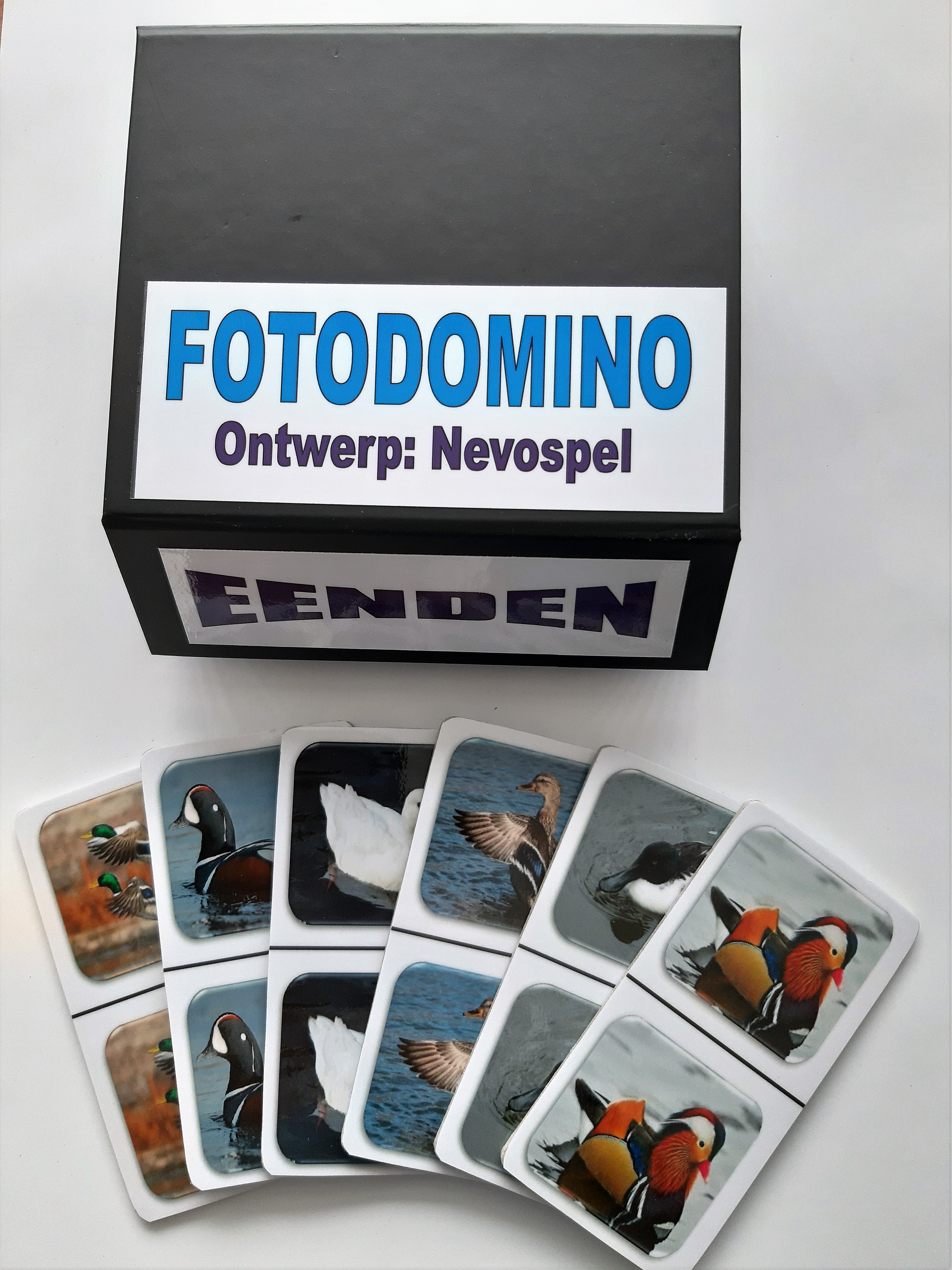 FotoDomino_Eenden_1e.jpg FotoDomino_Eenden_1e.jpg