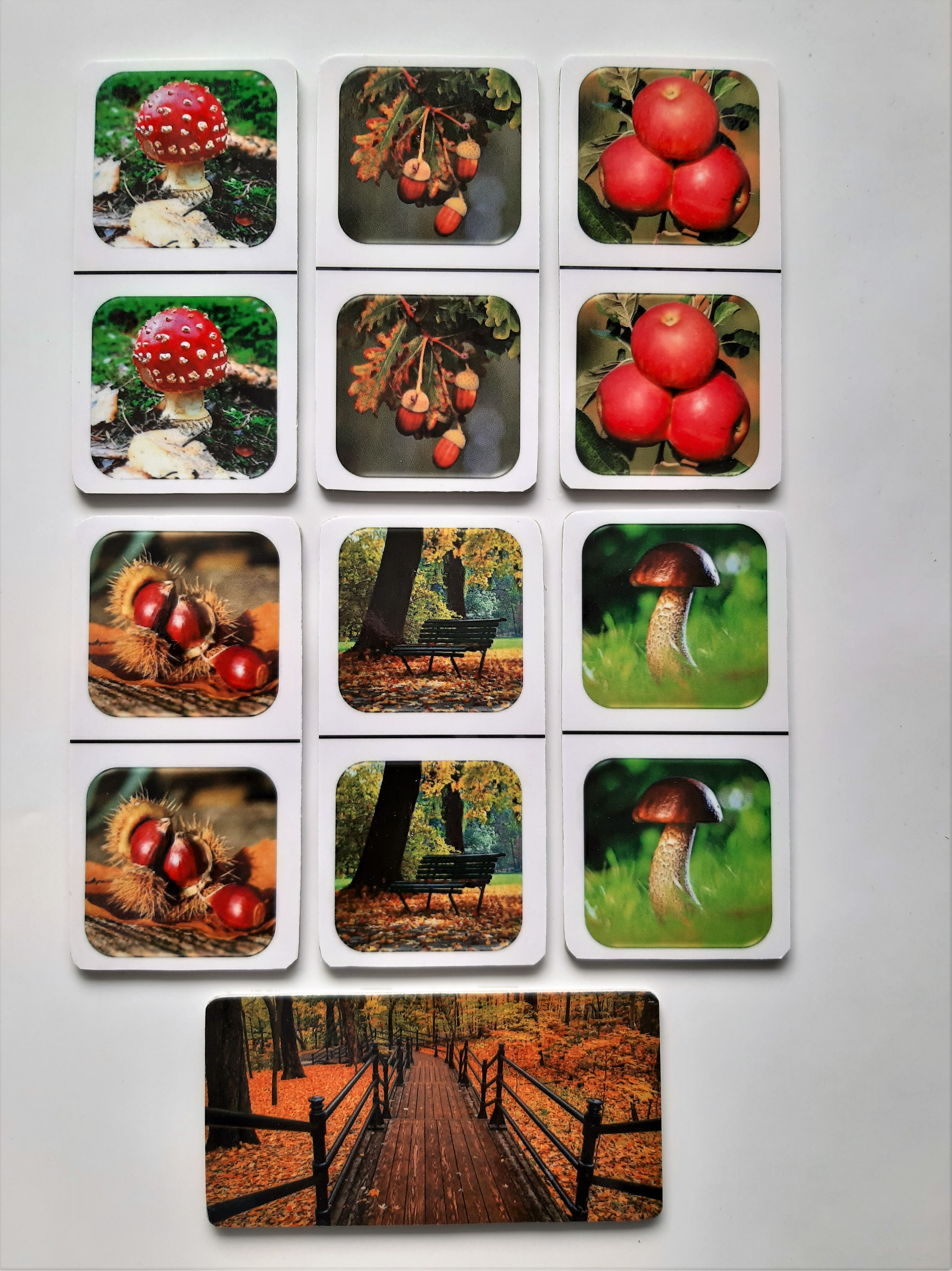 FotoDomino_Herfst_2e.jpg FotoDomino_Herfst_2e.jpg