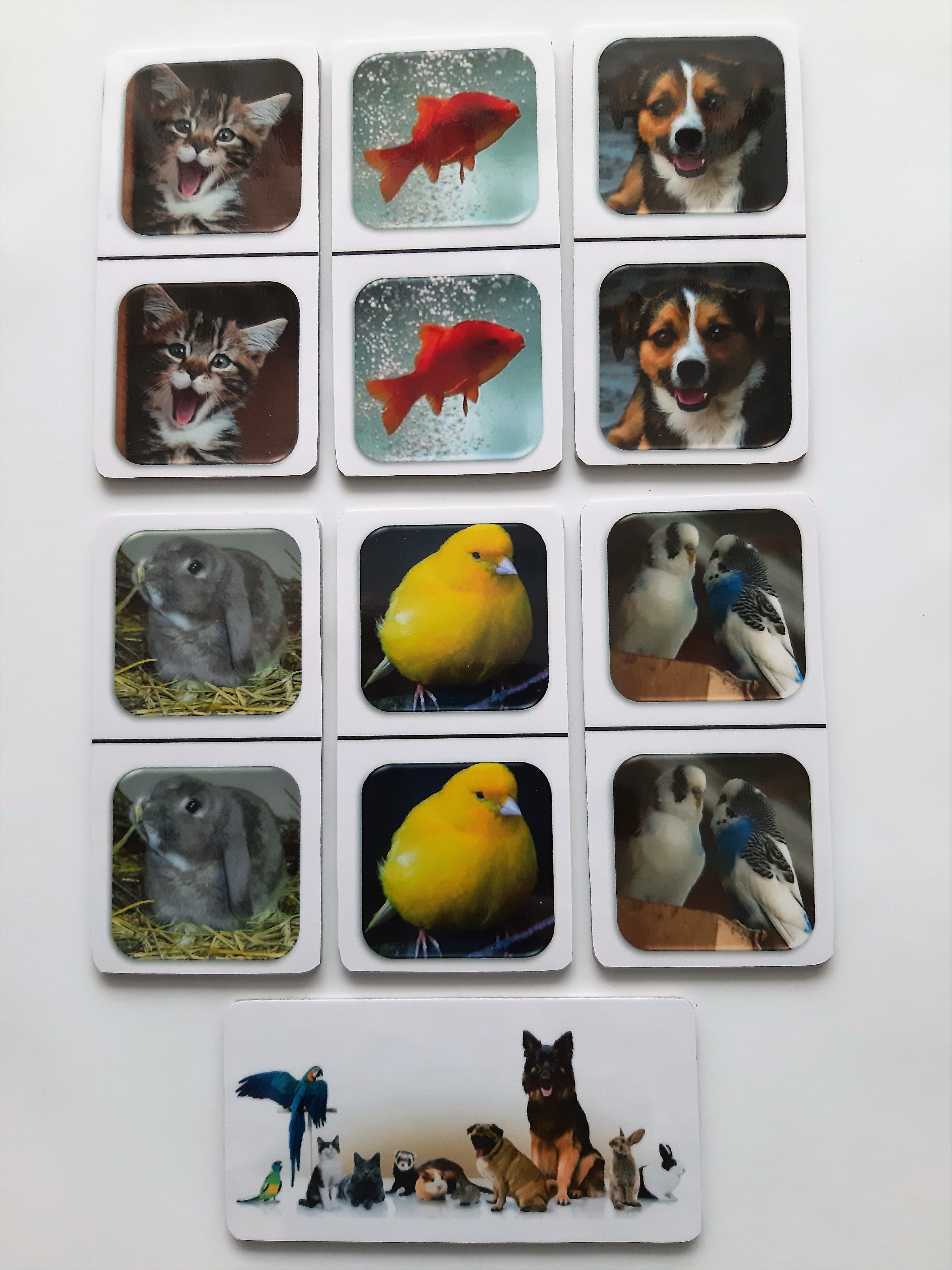 FotoDomino_Huisdieren_2e.jpg FotoDomino_Huisdieren_2e.jpg