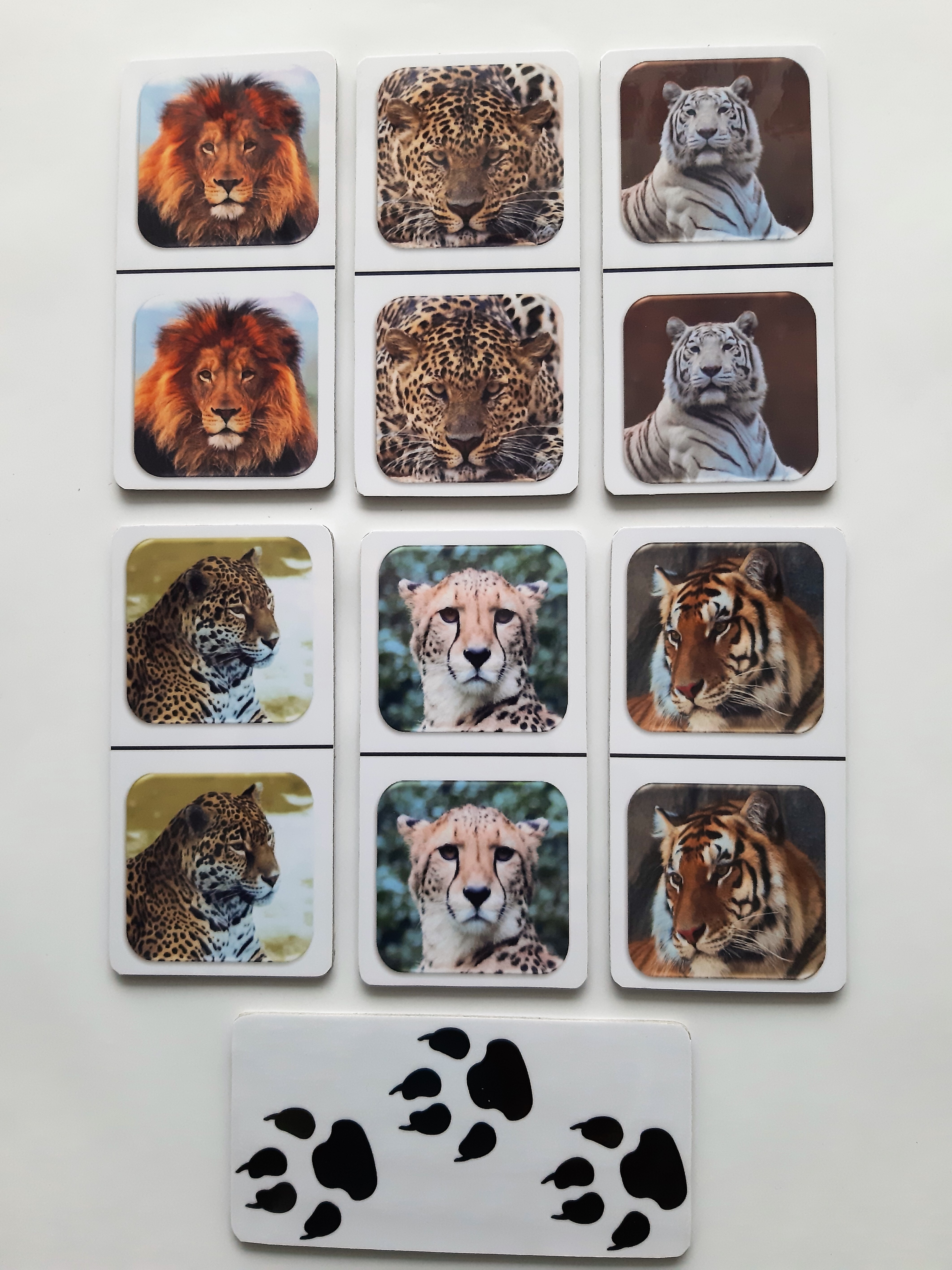 FotoDomino_Katachtigen_2e.jpg FotoDomino_Katachtigen_2e.jpg