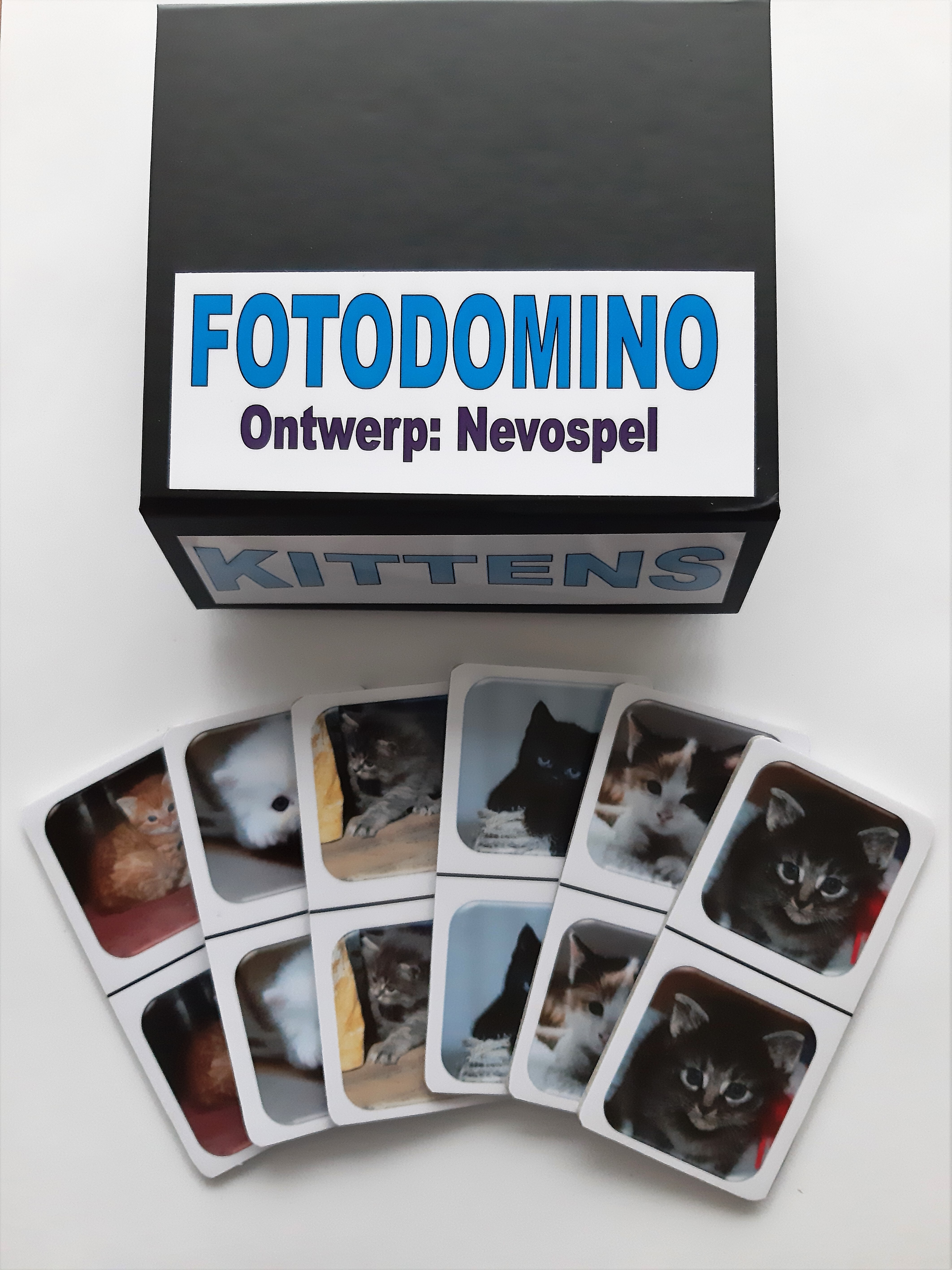FotoDomino_Kittens_1e.jpg FotoDomino_Kittens_1e.jpg