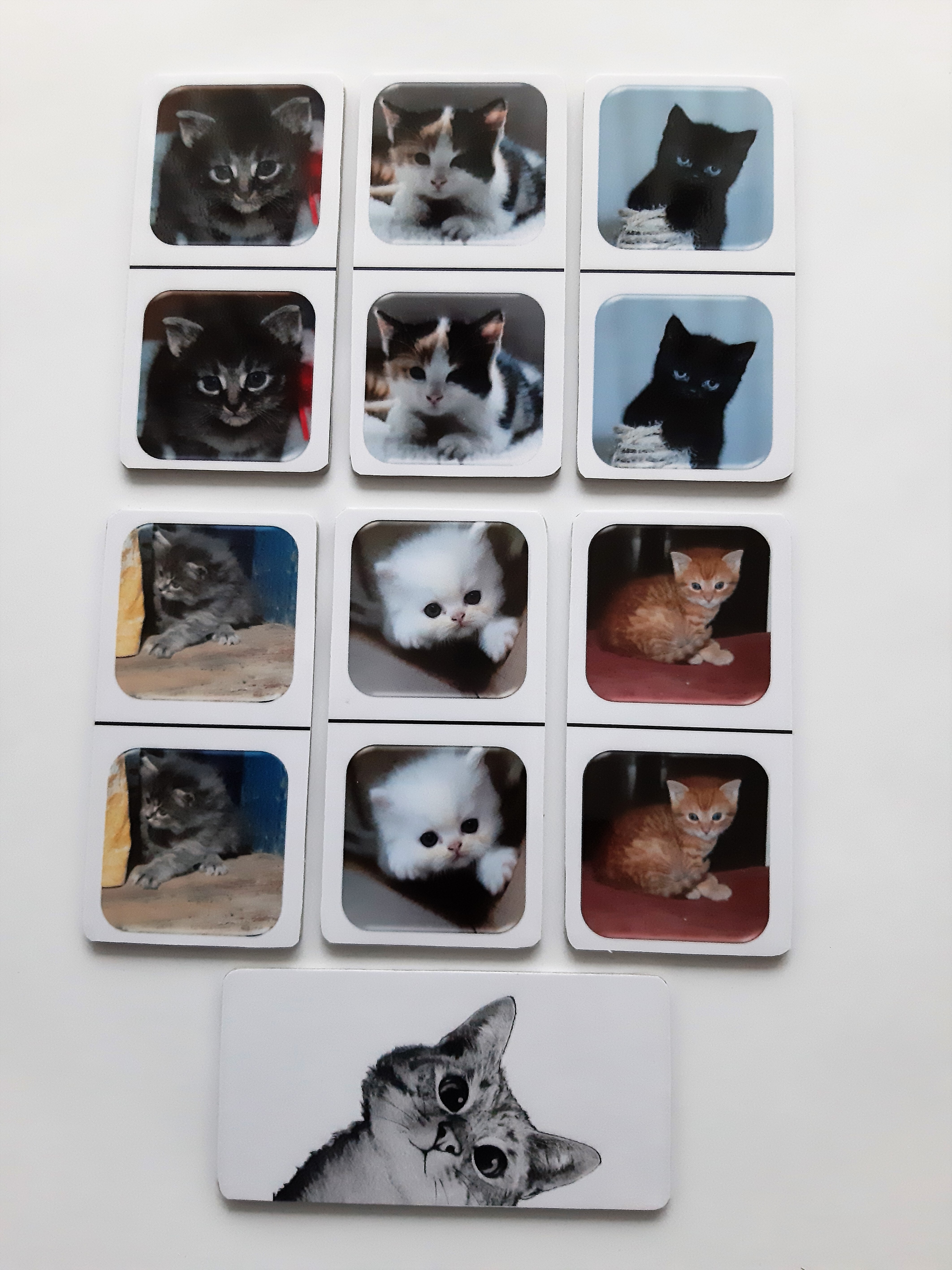 FotoDomino_Kittens_2e.jpg FotoDomino_Kittens_2e.jpg