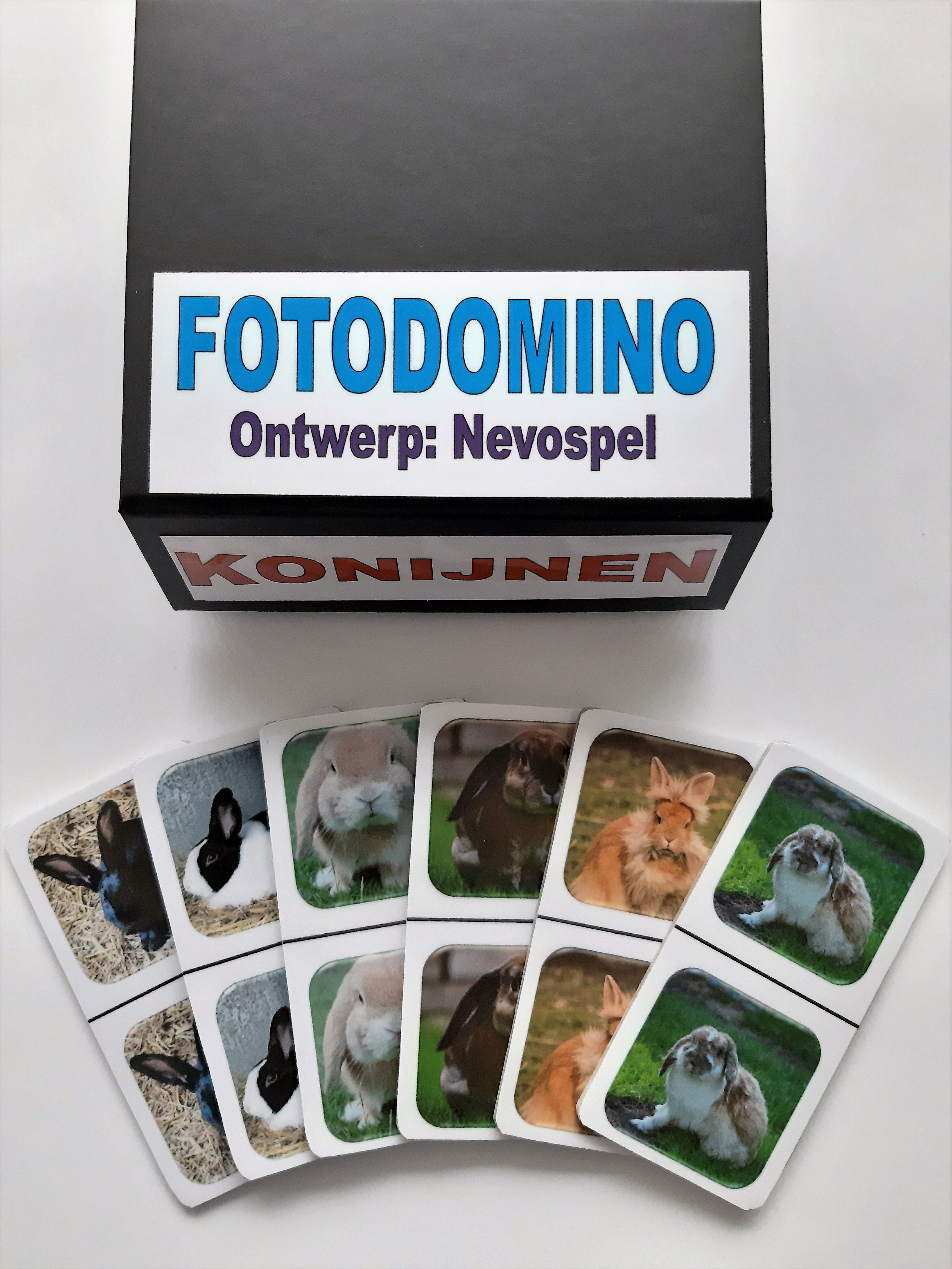 FotoDomino_Konijnen_1e.jpg FotoDomino_Konijnen_1e.jpg