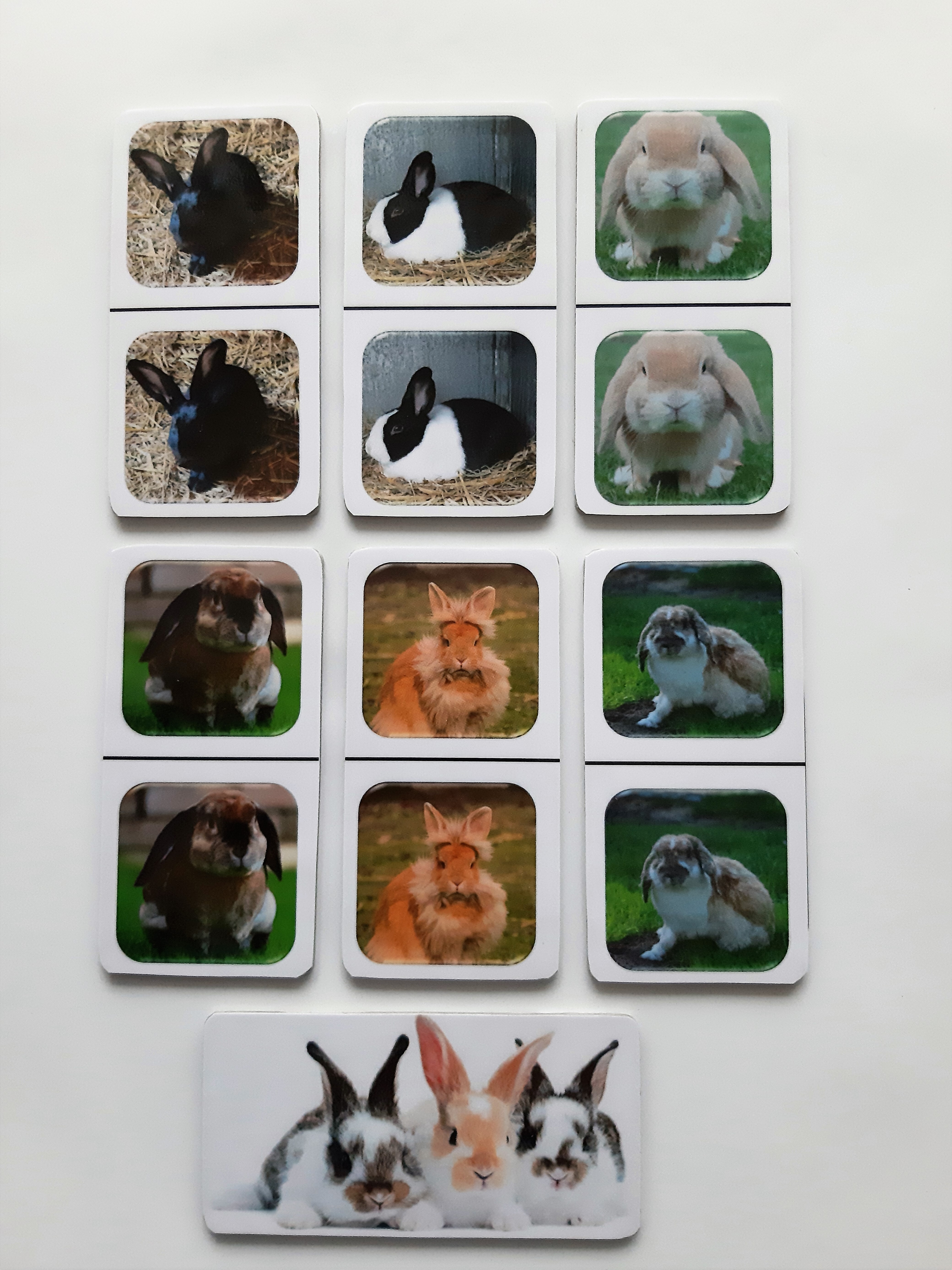 FotoDomino_Konijnen_2e.jpg FotoDomino_Konijnen_2e.jpg