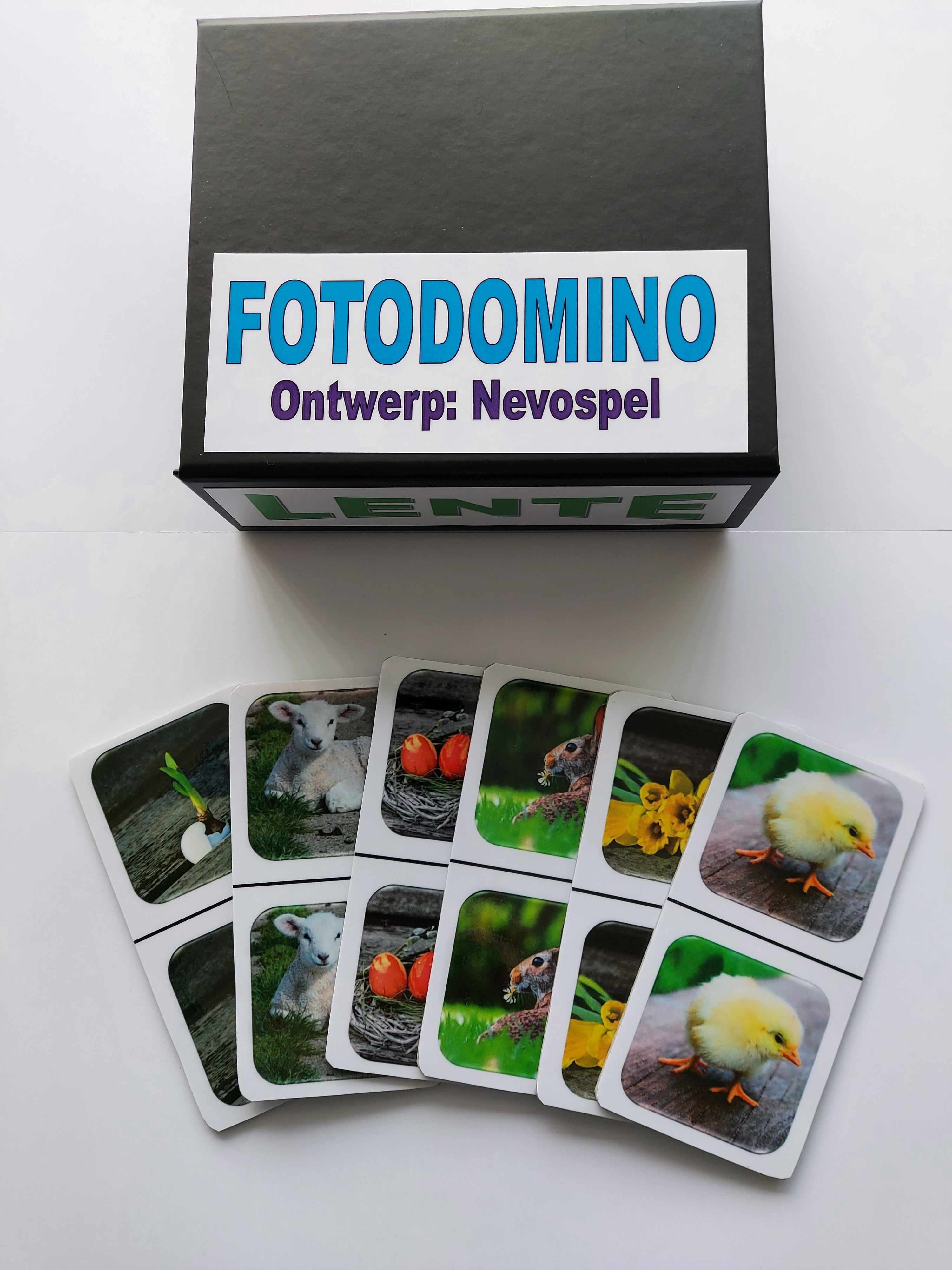 FotoDomino_Lente_1e.jpg FotoDomino_Lente_1e.jpg
