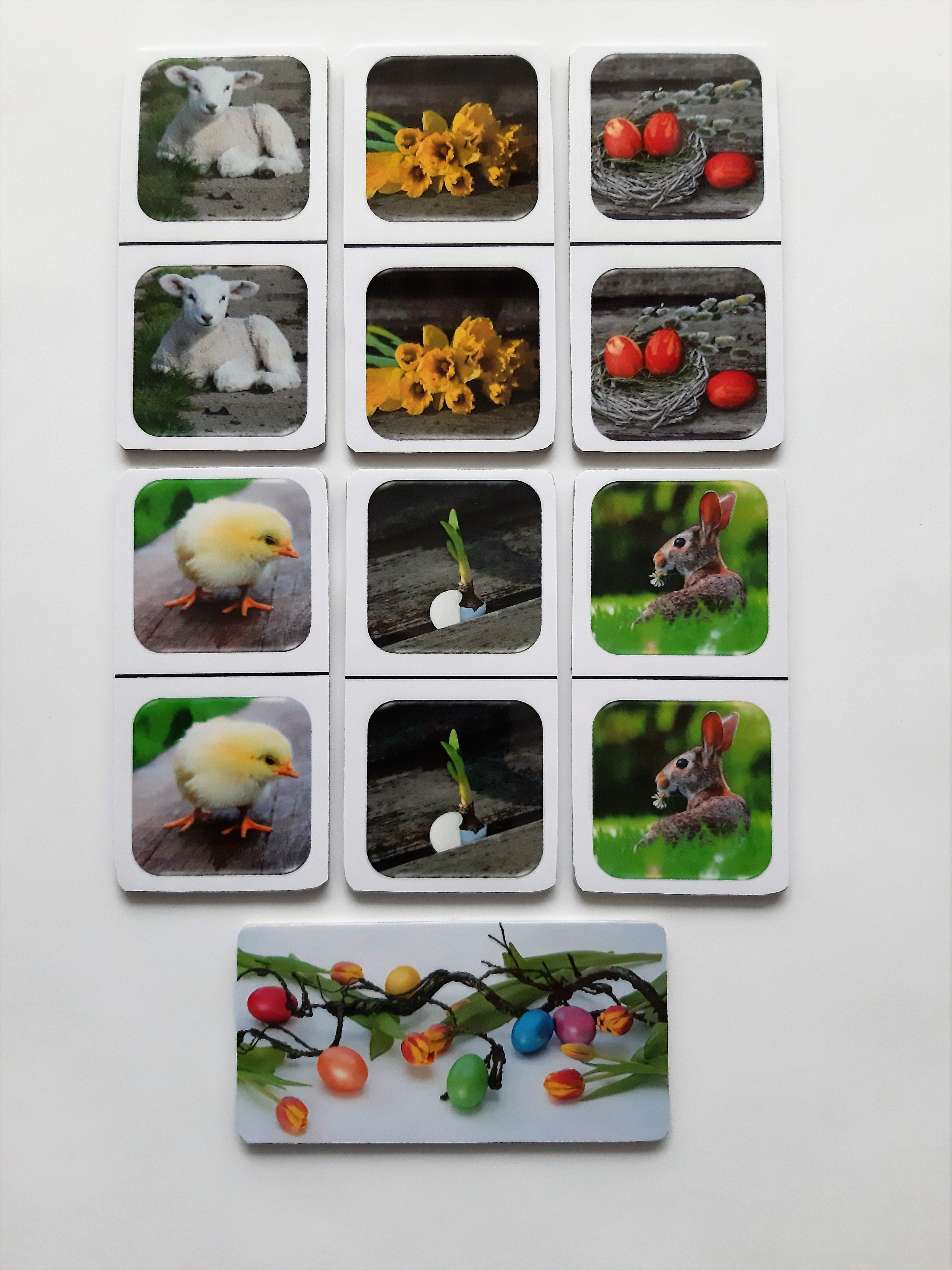 FotoDomino_Lente_2e.jpg FotoDomino_Lente_2e.jpg