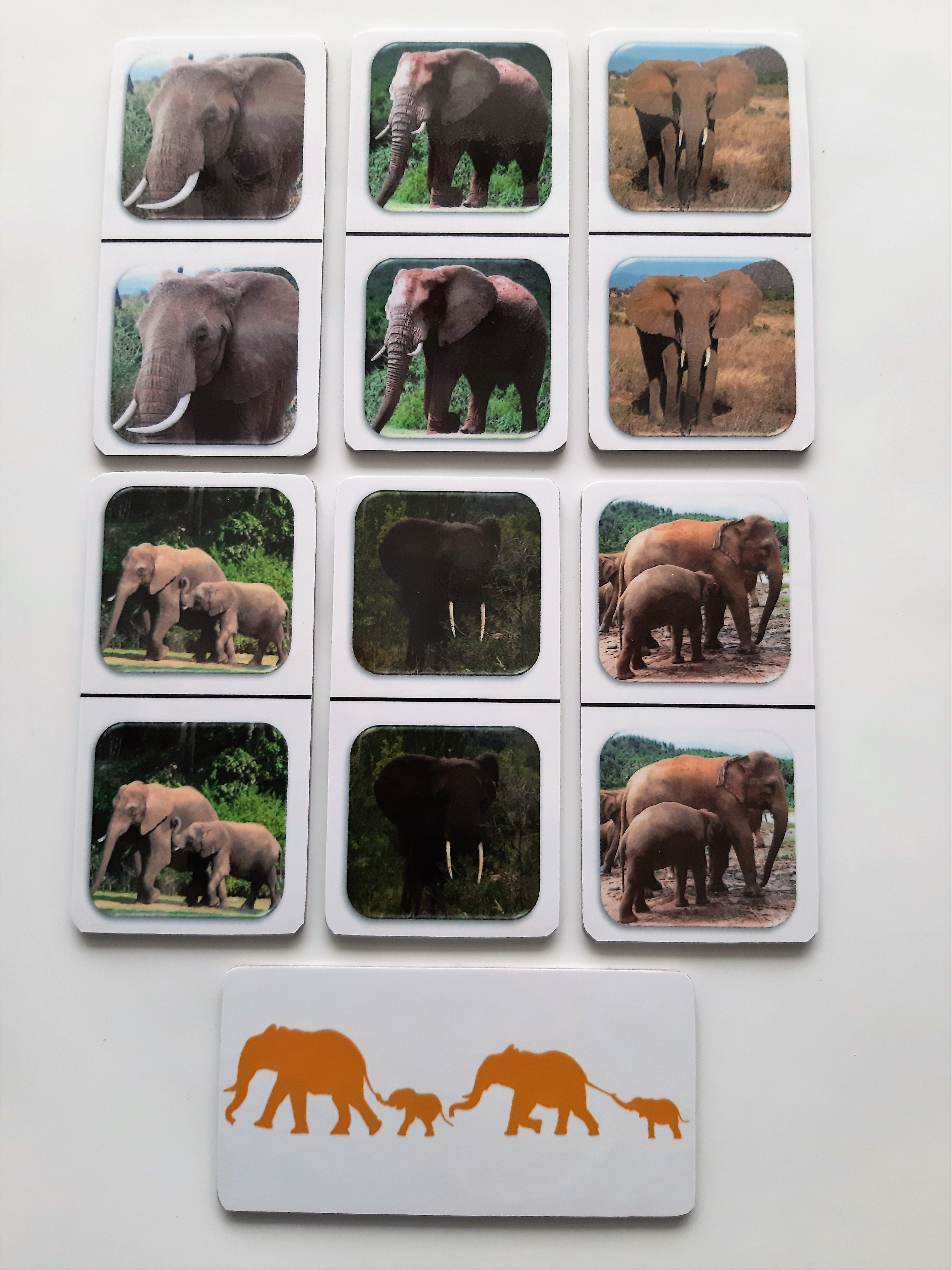 FotoDomino_Olifanten_2e.jpg FotoDomino_Olifanten_2e.jpg