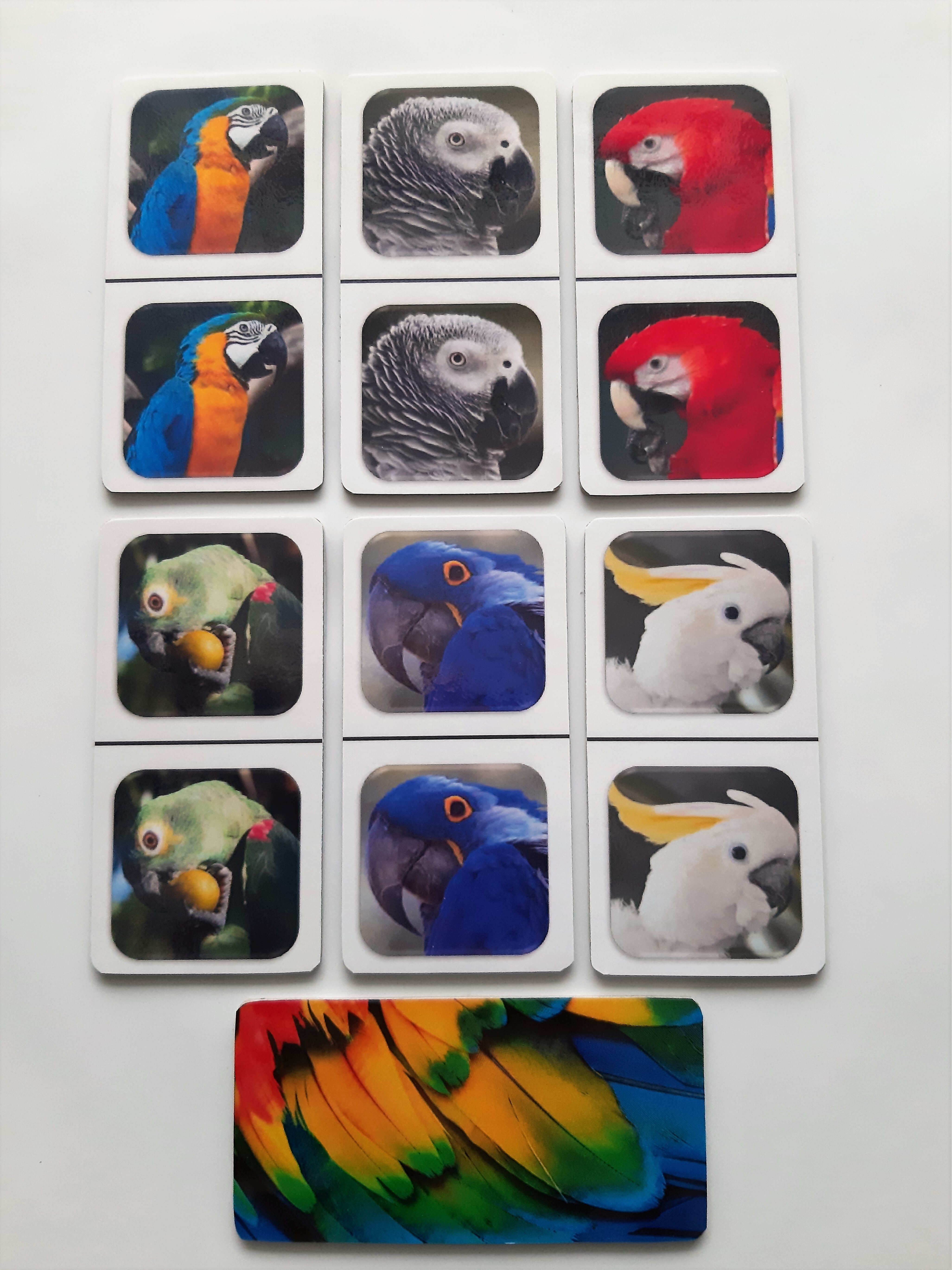 FotoDomino_Papagaaien_2e.jpg FotoDomino_Papagaaien_2e.jpg