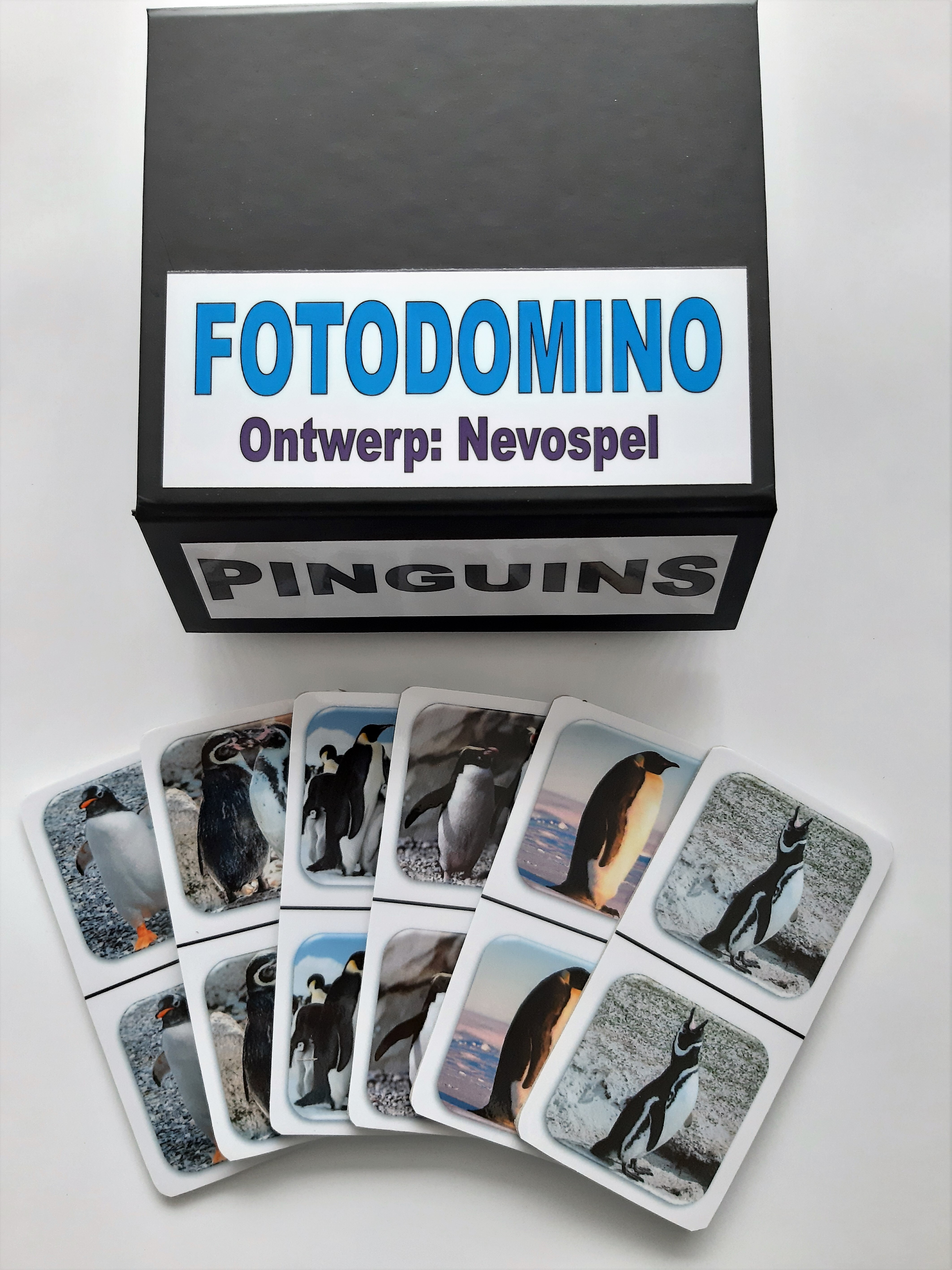 FotoDomino_Pinguins_1e.jpg FotoDomino_Pinguins_1e.jpg