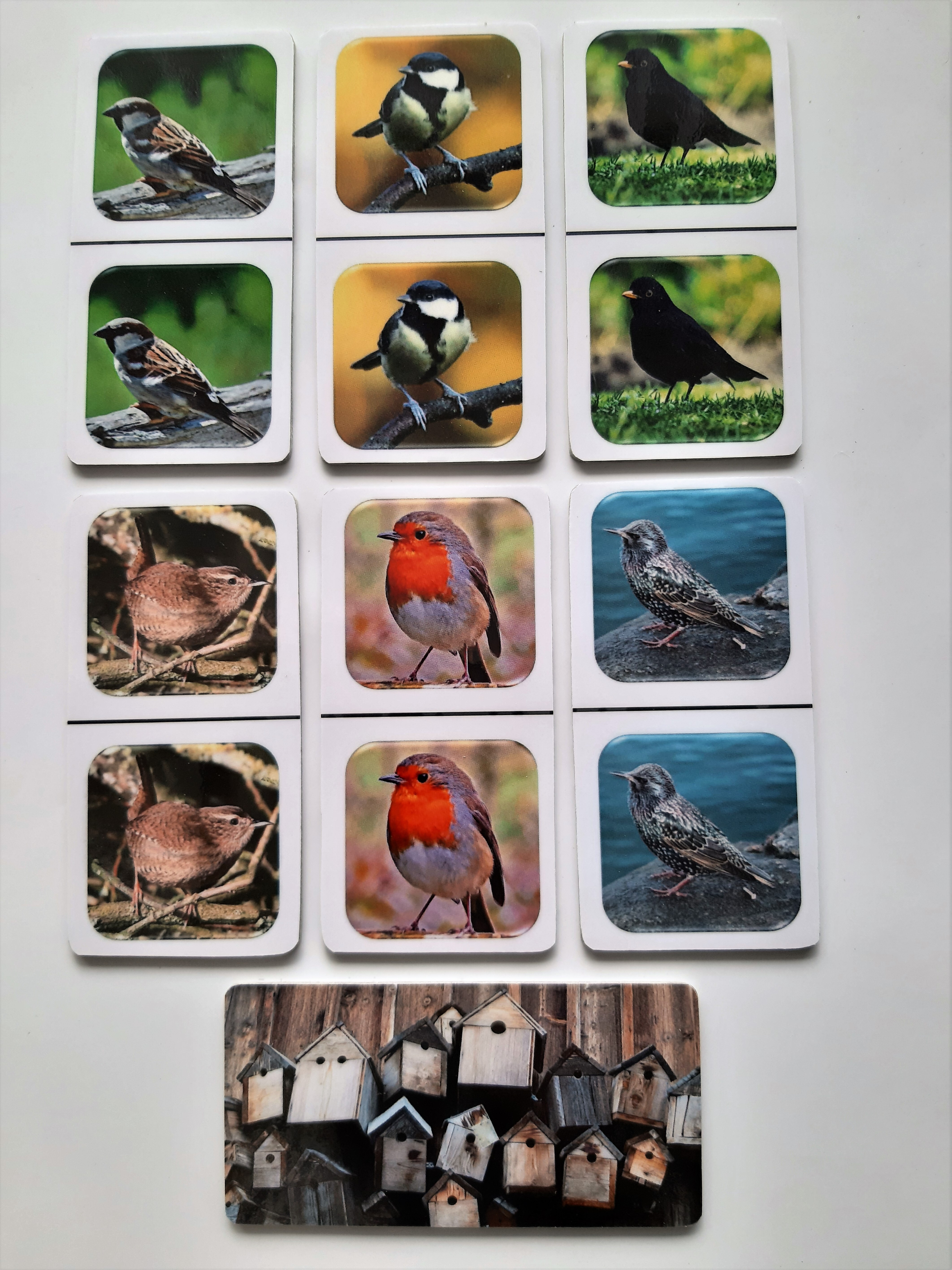 FotoDomino_Tuinvogels_2e.jpg FotoDomino_Tuinvogels_2e.jpg