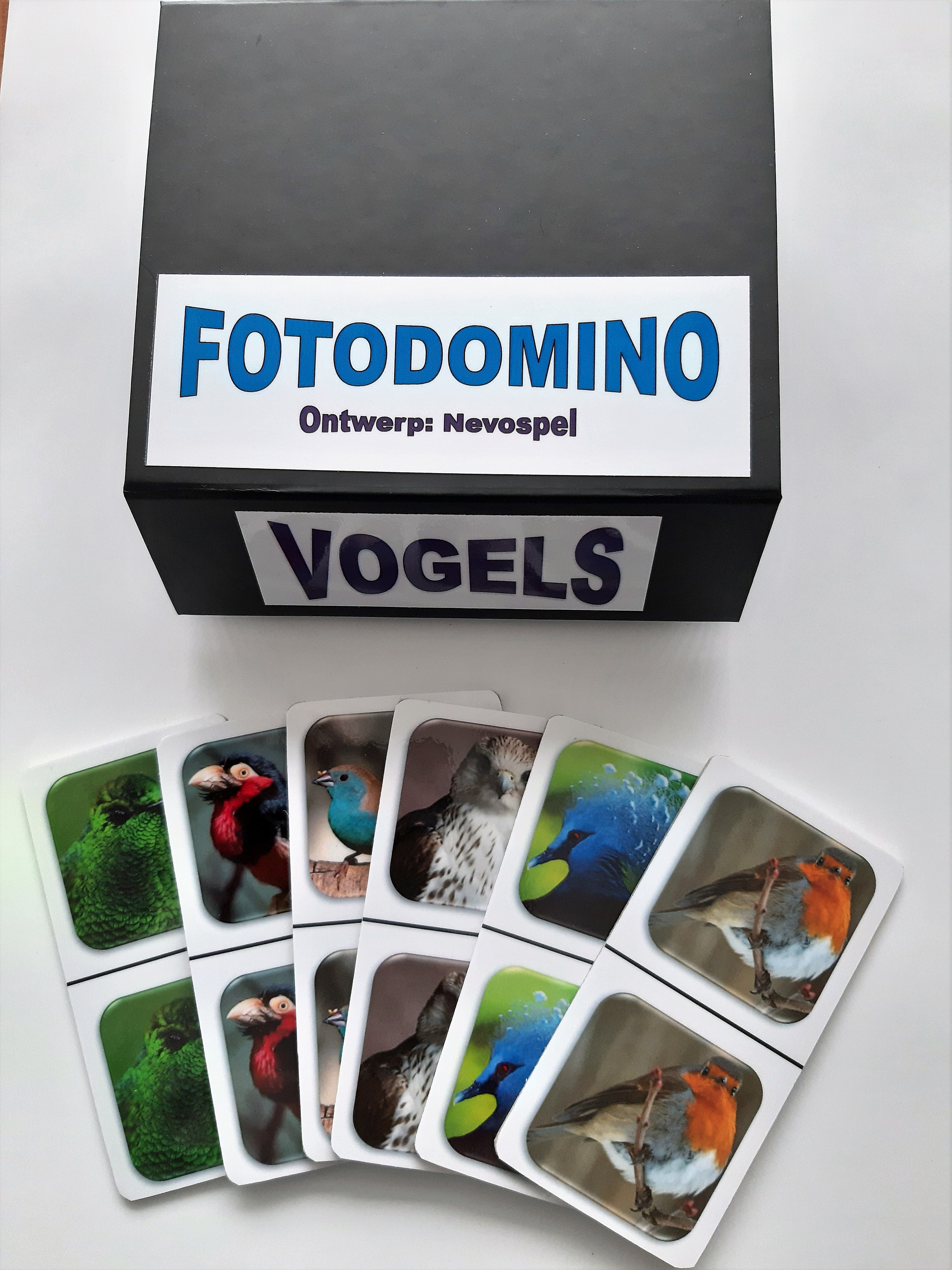 FotoDomino_Vogels_1e.jpg FotoDomino_Vogels_1e.jpg