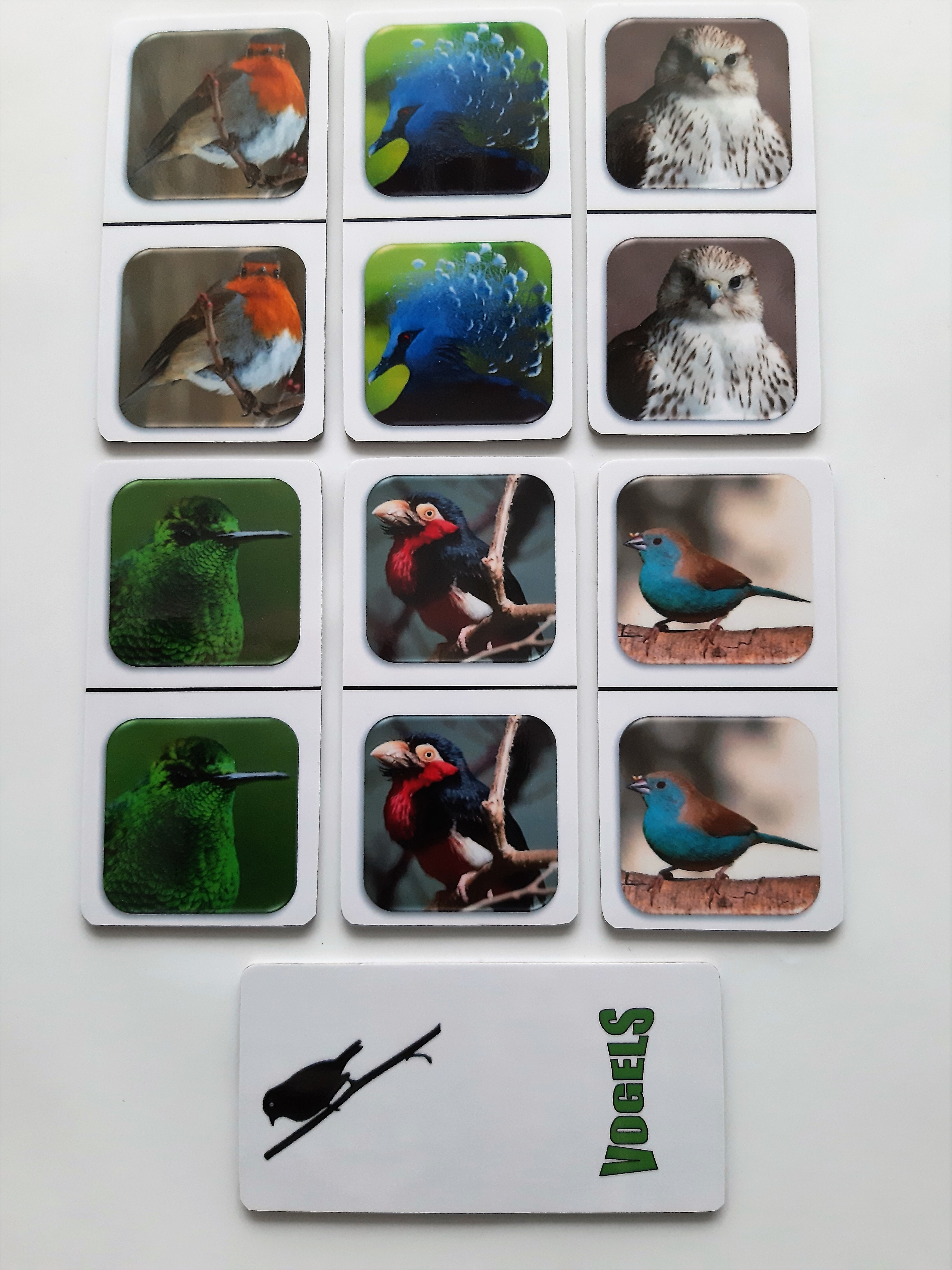 FotoDomino_Vogels_2e.jpg FotoDomino_Vogels_2e.jpg